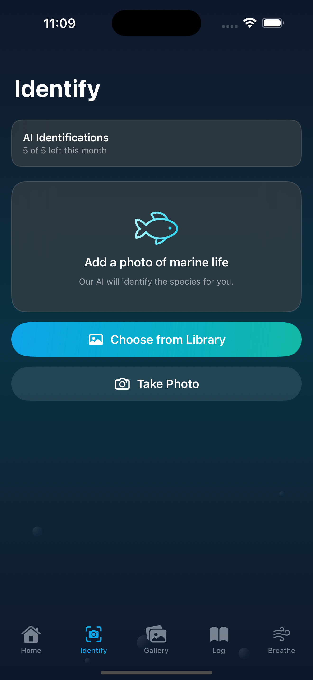 AI species identification